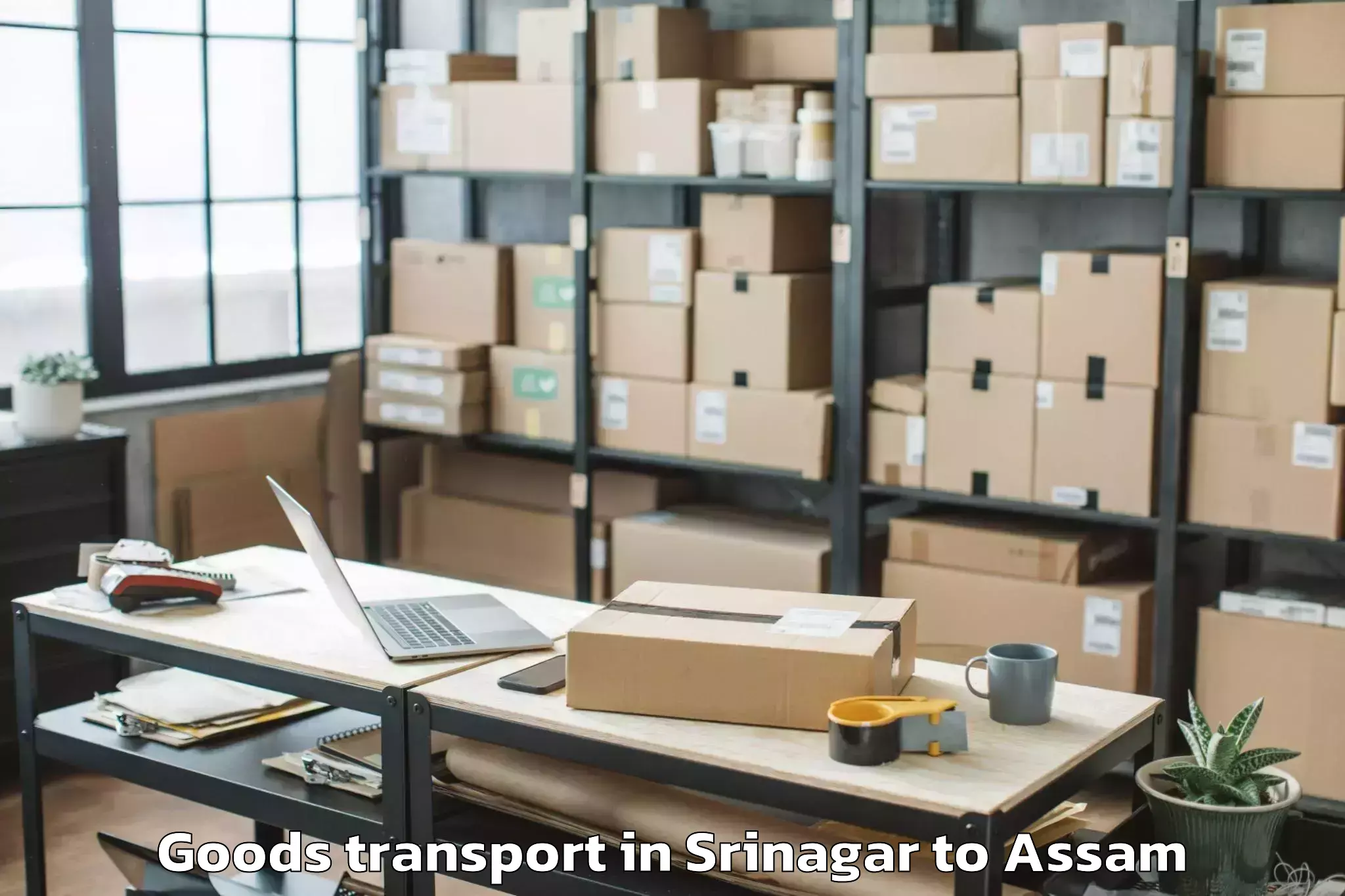 Leading Srinagar to Hamren Goods Transport Provider